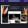 Zeen | Newspaper Magazine News Blog WordPress Theme + WooCommerce